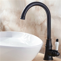 Moen Forte Faucet